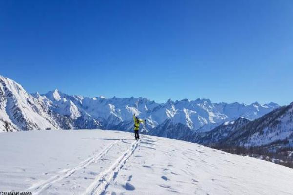 2010世界杯乌拉圭_南美劲旅南非表现(图1)
